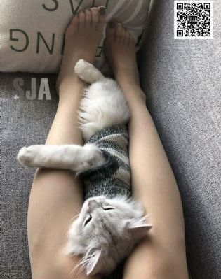 国产成人免费ā片在线观看黄的_DVD高清视频观看